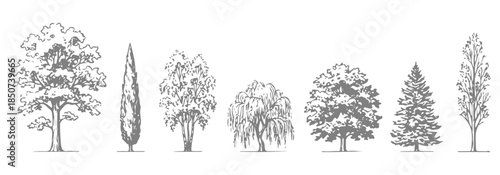 Set of trees in lines in minimalist CAD. Set of sections of wetland forest outlines for landscape design drawing. Vector illustration in separate elements.