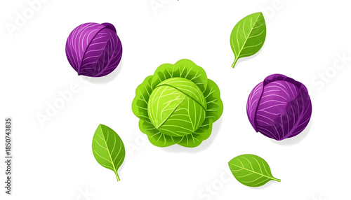 set of colorful leaves