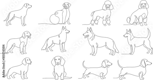 Dog illustration collection