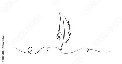 An elegant minimalist line drawing of fine feathers, emphasizing simplicity and elegance in art.