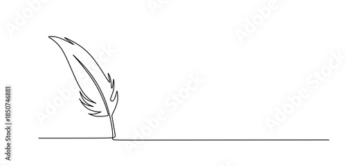 An elegant minimalist line drawing of fine feathers, emphasizing simplicity and elegance in art.