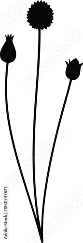 Simple Silhouette of Three Blooming Wildflowers on Thin Stems