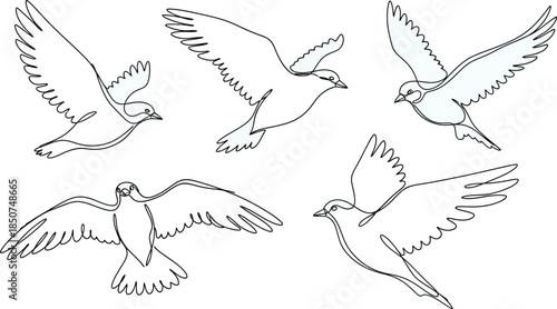 Five pigeons line art