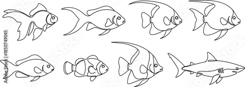 Diverse fish outlines