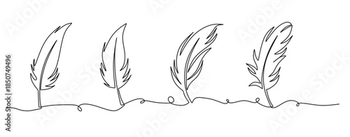 An elegant minimalist line drawing of fine feathers, emphasizing simplicity and elegance in art.