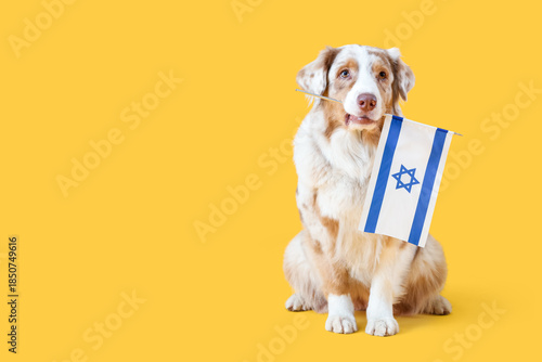 Cute dog with flag of Israe...