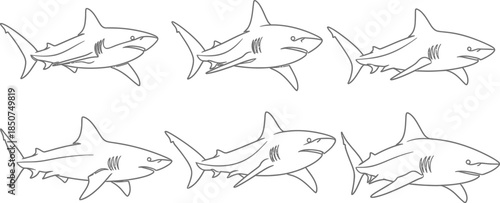Six shark line drawing