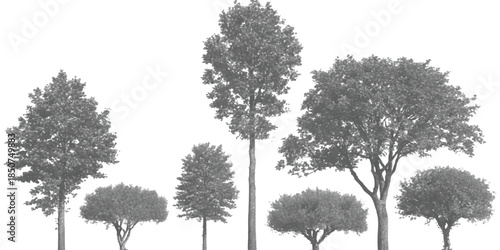 Diverse collection of trees isolated on white background