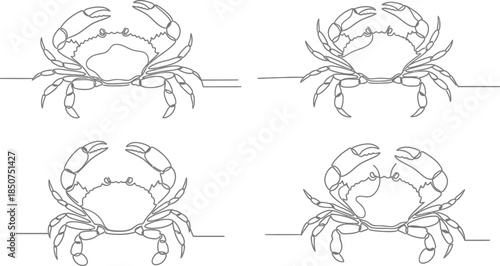 Four single line crabs