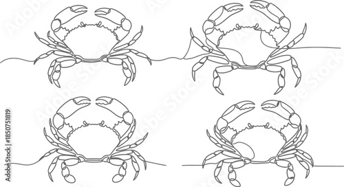 Four crab line art pattern