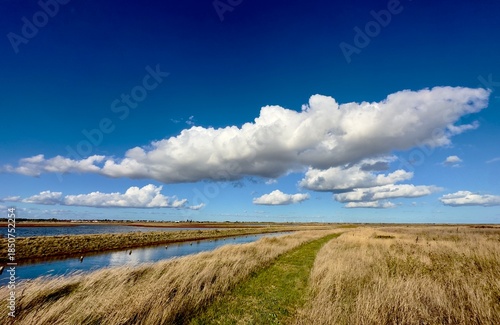 A scenic view across a wetland nature reserve at Waalasea Island, Essex, UK. 