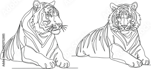 Two tigers continuous line