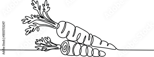 Two Carrots with Green Tops on a Line vegetable vegetables