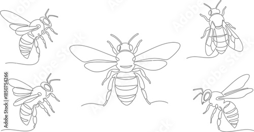 Five bee line drawings