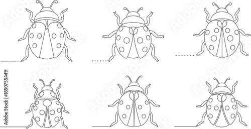 Ladybugs line art pattern