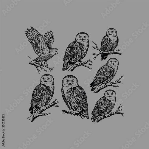 Vintage Owl Collection: An artful compilation of stylized owls in various poses, showcasing the timeless elegance of nature's nocturnal hunters, in a monochromatic illustration.