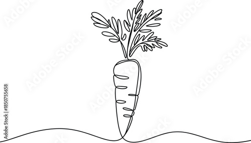 Carrot with Green Leaves Growing from the Ground vegetable