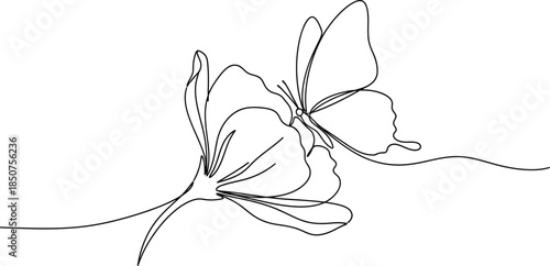 Butterfly on single flower