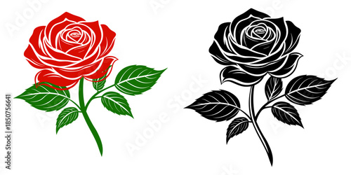 a red rose and a block rose flower with three leaf and rose tree vector art free and premium.ai