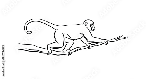 Monkey on a branch outline