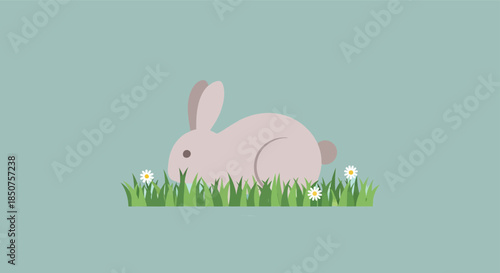 Rabbit in green grass