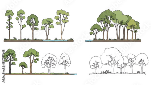 Trees depicted in various stages of illustration from simple line drawings to fully colored renderings showcasing different foliage densities and heights.