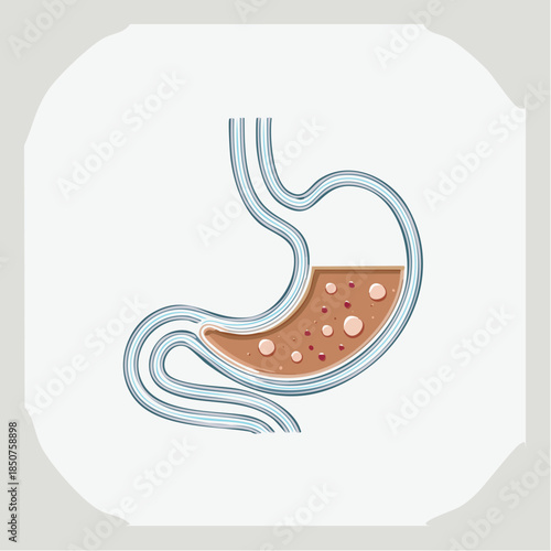 Stomach line icon medical outline symbol. Flat line stomach gastric icon