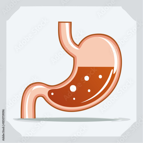 Stomach line icon medical outline symbol. Flat line stomach gastric icon