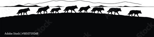 Wolf pack walking silhouette
