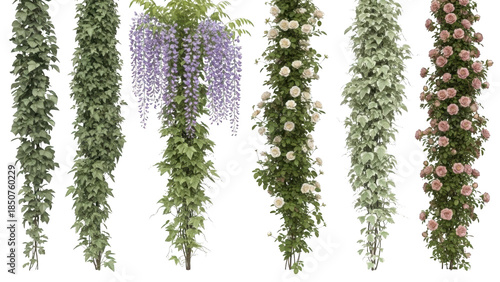 Seven hanging plant vines with flowers on white background for decoration purposes in high fidelity