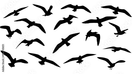 Elegant Vector Collection of Multiple Birds in Flight, Rendered as Black Silhouettes, Symbolizing Freedom, Grace, and Natural Beauty for Diverse Graphic Applications
