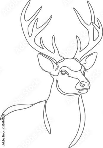 Deer head line drawing