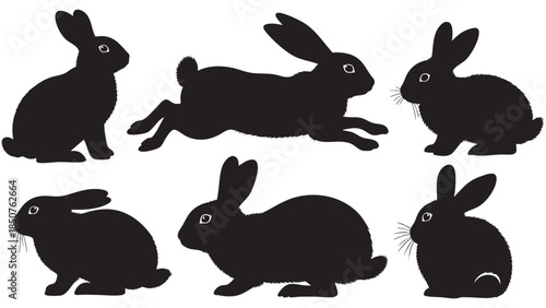 Collection of Various Silhouettes of Bunny Rabbits on Transparent Background