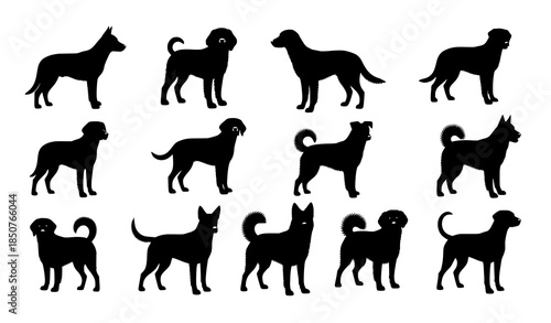 Standing dog silhouettes vector set with realistic canine breed profiles