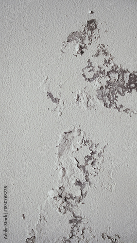 White walls with peeling paint
