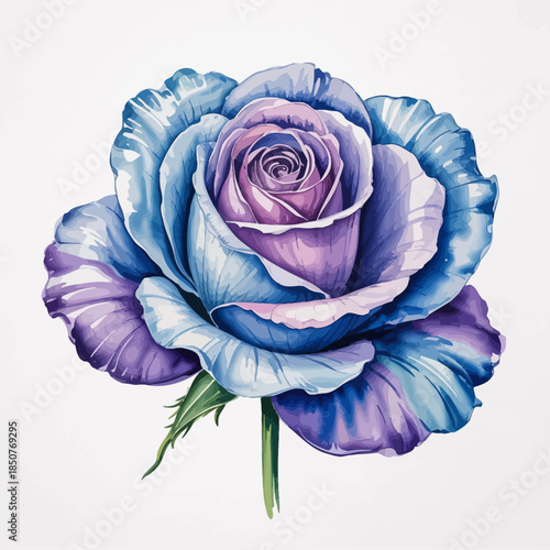 An exquisite rose illustration in blue and purple hues captures the essence of beauty and elegance, ideal for floral design lovers and anyone seeking artistic floral decor.