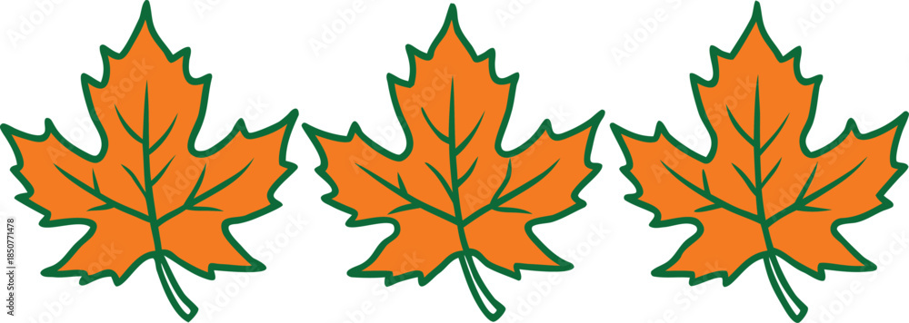 Obraz premium autumn leaves collection