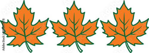 autumn leaves collection