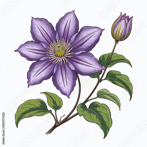 An intricately detailed purple flower with hints of green leaves and a budding flower, symbolizing beauty, nature, and growth in a striking botanical illustration.