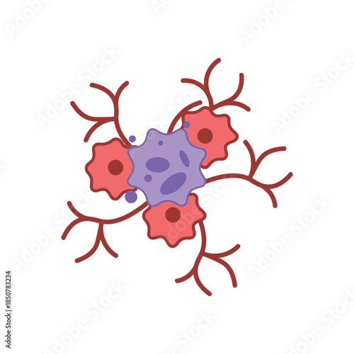 Cancer Cell Growth