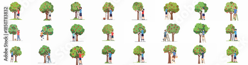 Collection of Flat Illustrations Showcasing People Picking Ripe Apples from Fruit Trees using Ladders in an Orchard or Garden, Isolated Vector Set