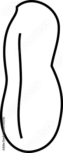 peanut minimal simple vector outline