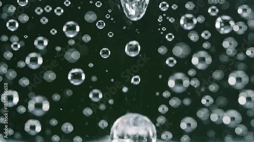 Wallpaper Mural Mesmerizing macro closeup of crystal clear water droplets and spherical bubbles glistening on a dark reflective surface showcasing the intricate beauty of liquid dynamics and surface tension with a s. Torontodigital.ca