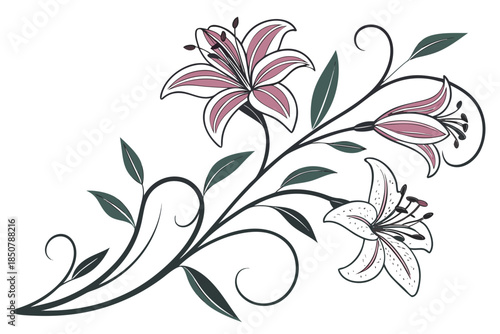 Floral Branding Illustration Without Logo Vector  (3) Vector Illustration