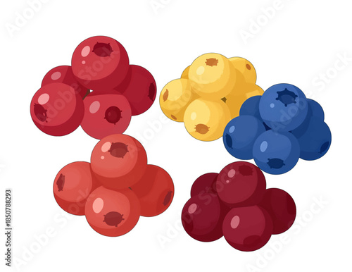 Colorful clusters of ripe berries in red, yellow, and blue