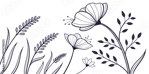 Elegant Botanical Artwork Minimal Vector Pure Wh Vector Illustration