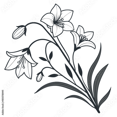 Decorative Flowering Plant Minimal Vector Pure W (2) Vector Illustration