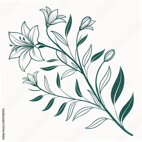 Botanical Eco Plant Illustration Clean Vector Pu (1) Vector Illustration