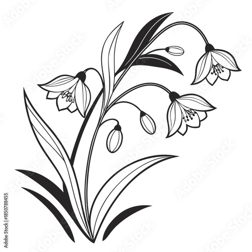 Decorative Flowering Plant Minimal Vector Pure W (3) Vector Illustration