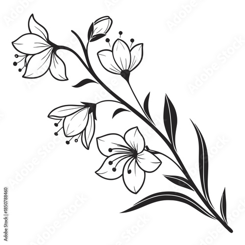 Decorative Flowering Plant Minimal Vector Pure W Vector Illustration